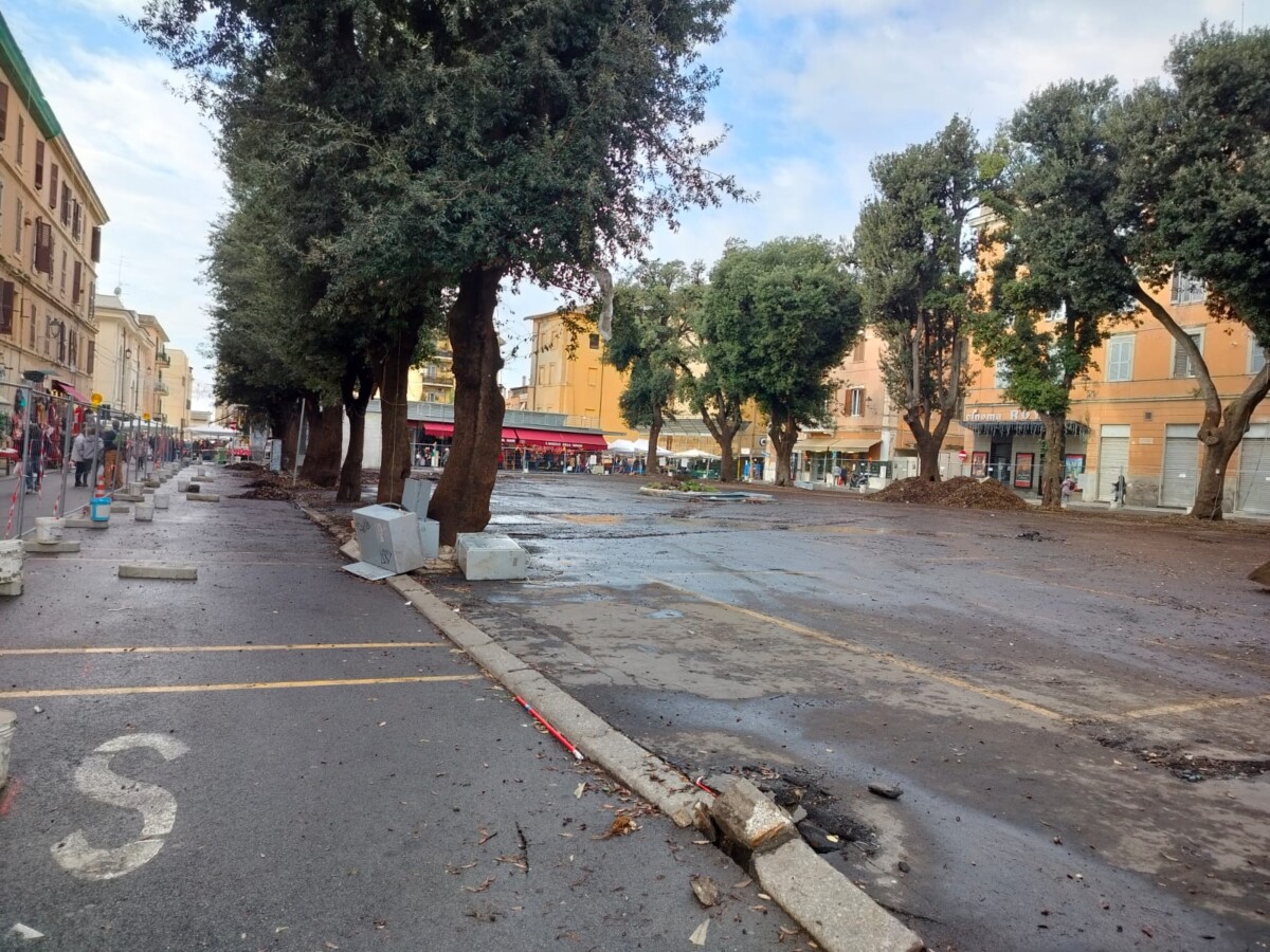 alberi mercato civitavecchia
