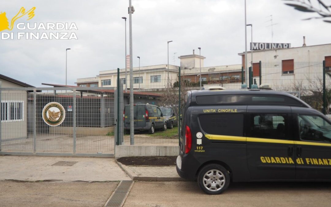 Si amplia il canile della Finanza al porto di Civitavecchia