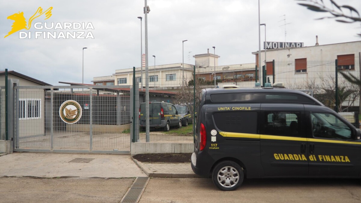 finanza civitavecchia cinofile canile finanza civitavecchia cinofile canile