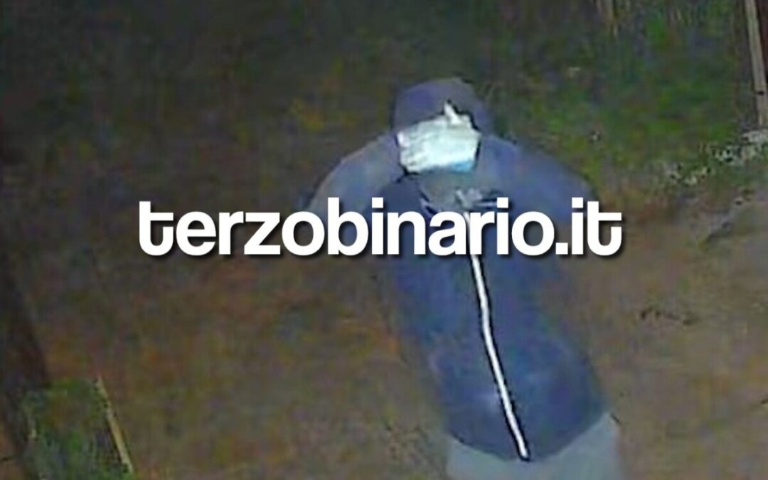 Ladri all’Olmetto di Ladispoli finiti nelle immagini delle telecamere