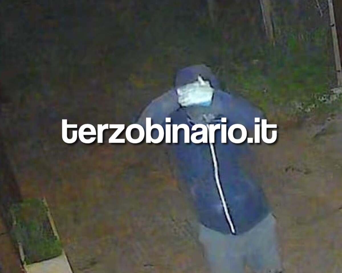 ladro monteroni ladispoli 1