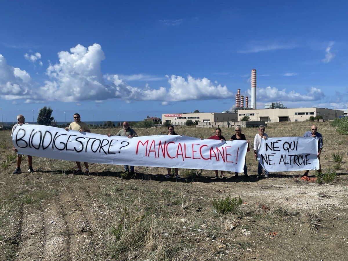 no biodigestore mancalecane civitavecchia