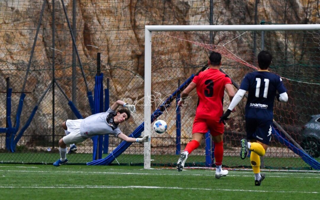 Tolfa ospite della Duepigrecoroma a caccia di continuità