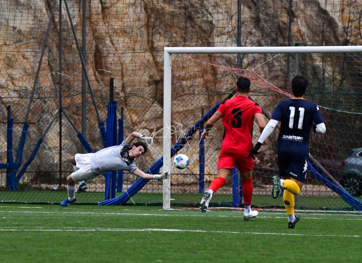 portiere de clementi tolfa