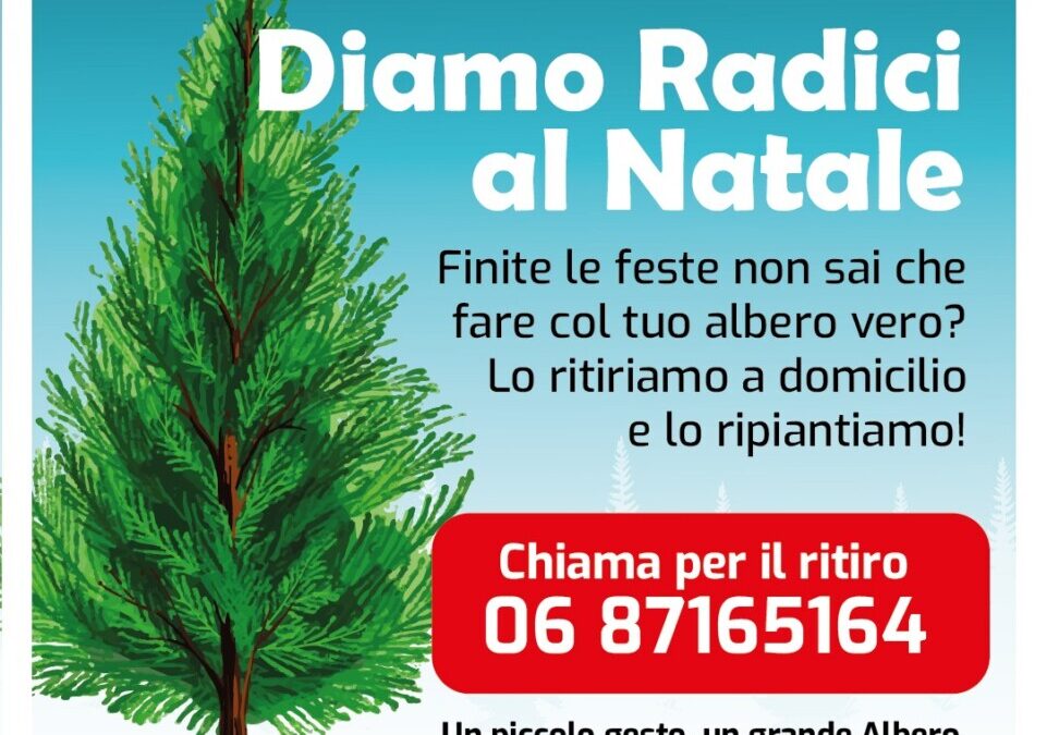 “Diamo radici al Natale”: la Protezione Civile comunale di Cerveteri recupera a domicilio gli alberi veri