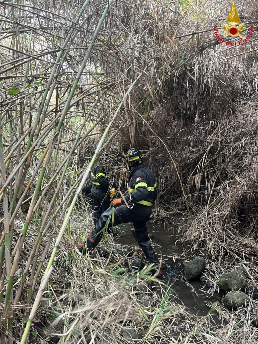 vvf vigili fuoco pompieri fosso recupero