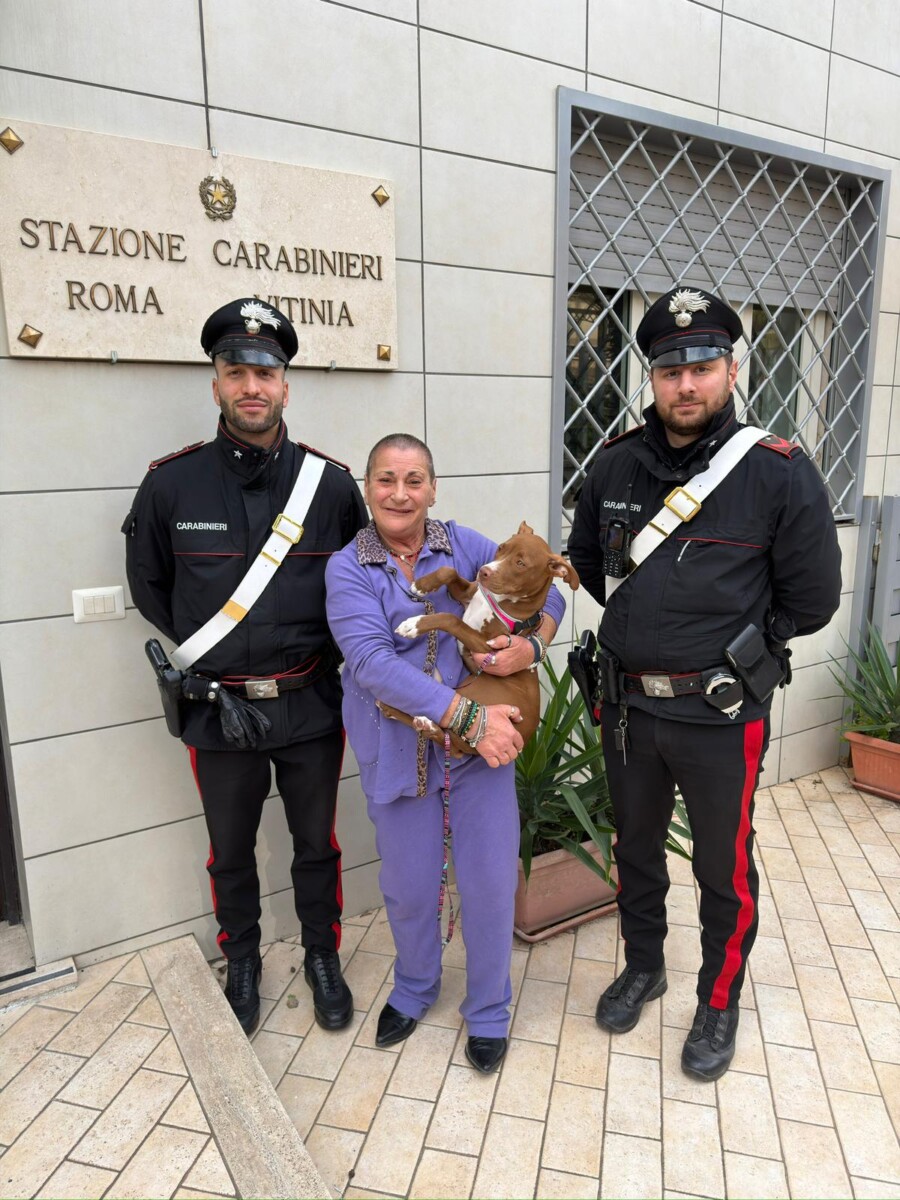 OSTIA - La riconsegna del cane pitbull rubata ostia