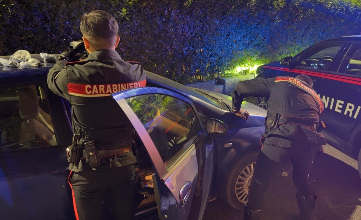 PROVINCIALE - Controlli antidroga dei Carabinieri auto