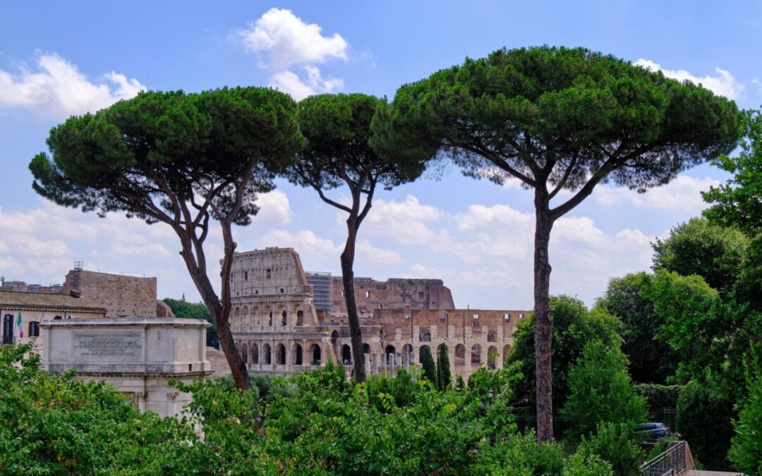 Pini a rischio caduta al Colosseo, verranno abbattuti