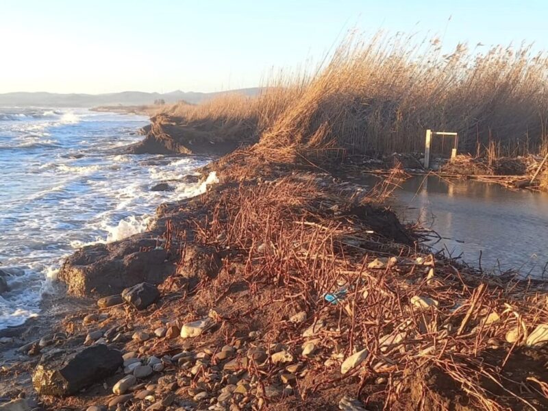 erosione spiaggia torre flavia 4