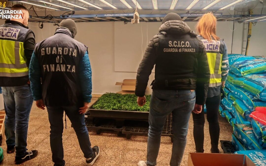 Maxi operazione della Finanza, a Civitavecchia intercettati 273 kg di droga