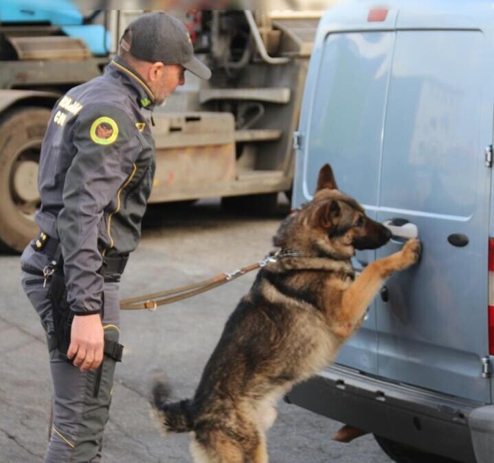 Pusher di Tarquinia beccato in auto dalla Finanza