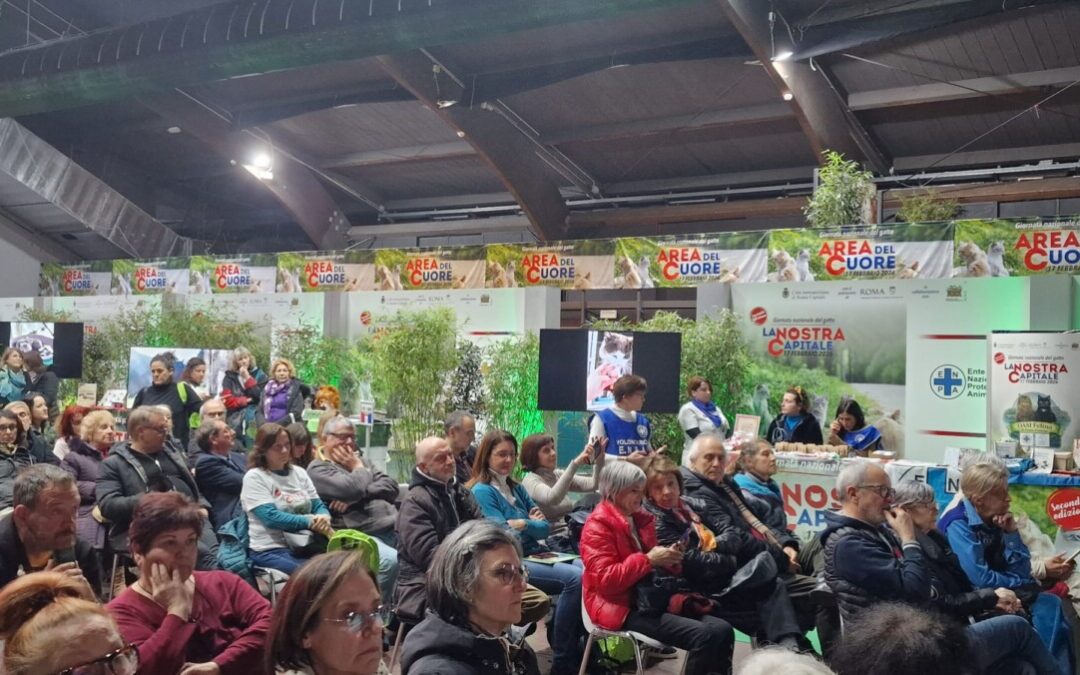 Giornata Nazionale del Gatto, a Roma successo del grande evento pubblico dedicato