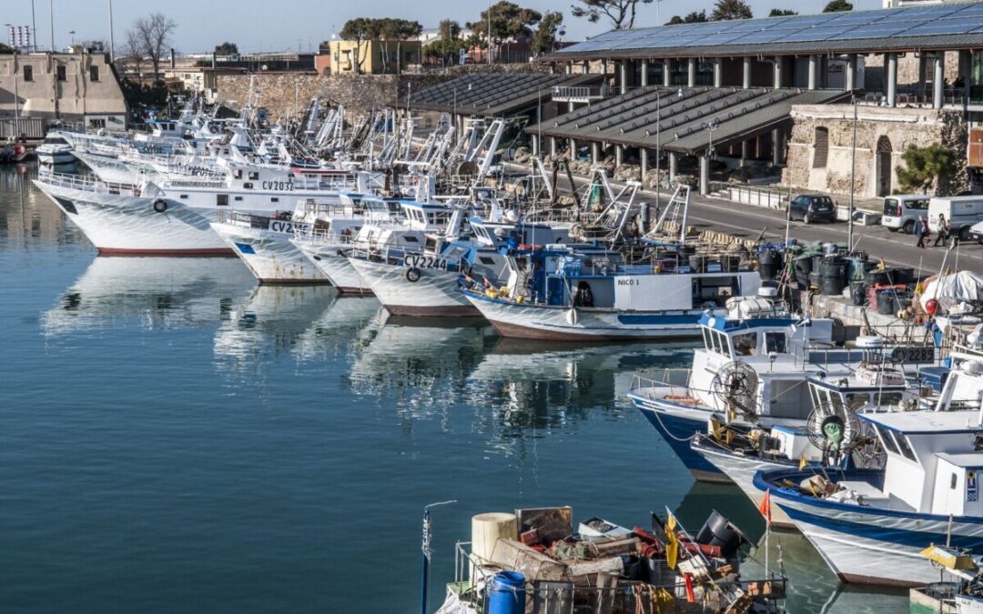 Ristori per i pescherecci di Civitavecchia, il plauso della Coop Marinai e Caratisti