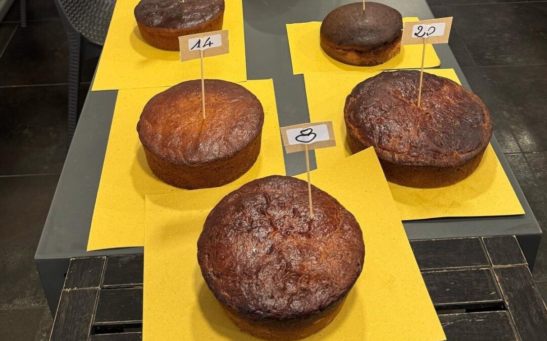 Tradizioni, torna il concorso “La migliore Pizza di Pasqua di Civitavecchia”