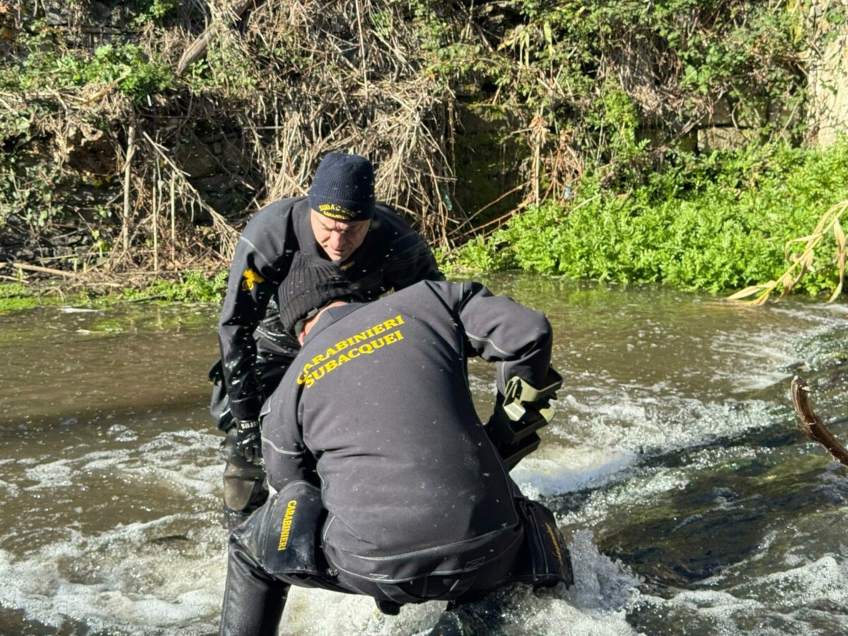 torzullo-ricerca-arma-carabinieri subacquei coltello anguillara 1