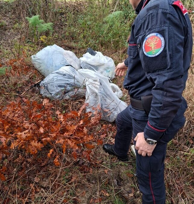 Zozzone getta rifiuti nei boschi di Vetralla, beccato dai Carabinieri Forestali