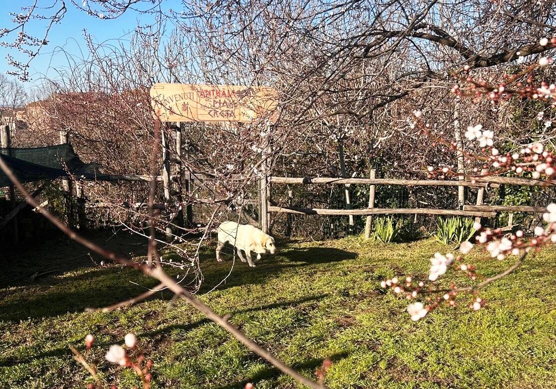 Il parco Anthaia cna