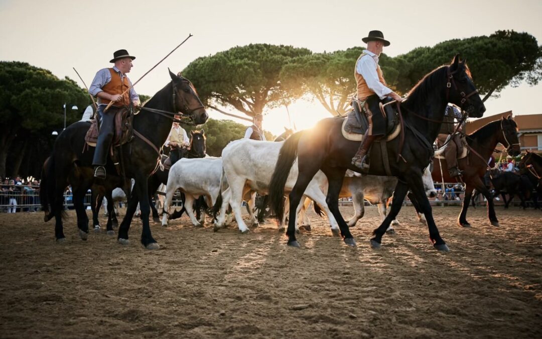 TCM Turismo & Commercio al centro della Fiera Maremma d’aMare a Montalto Marina