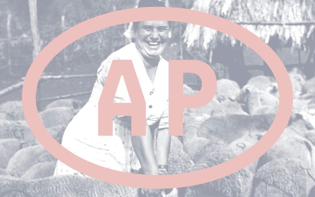 Archivio Paese, la storia di Tolfa e dei suoi abitanti raccontata in migliaia di fotografie