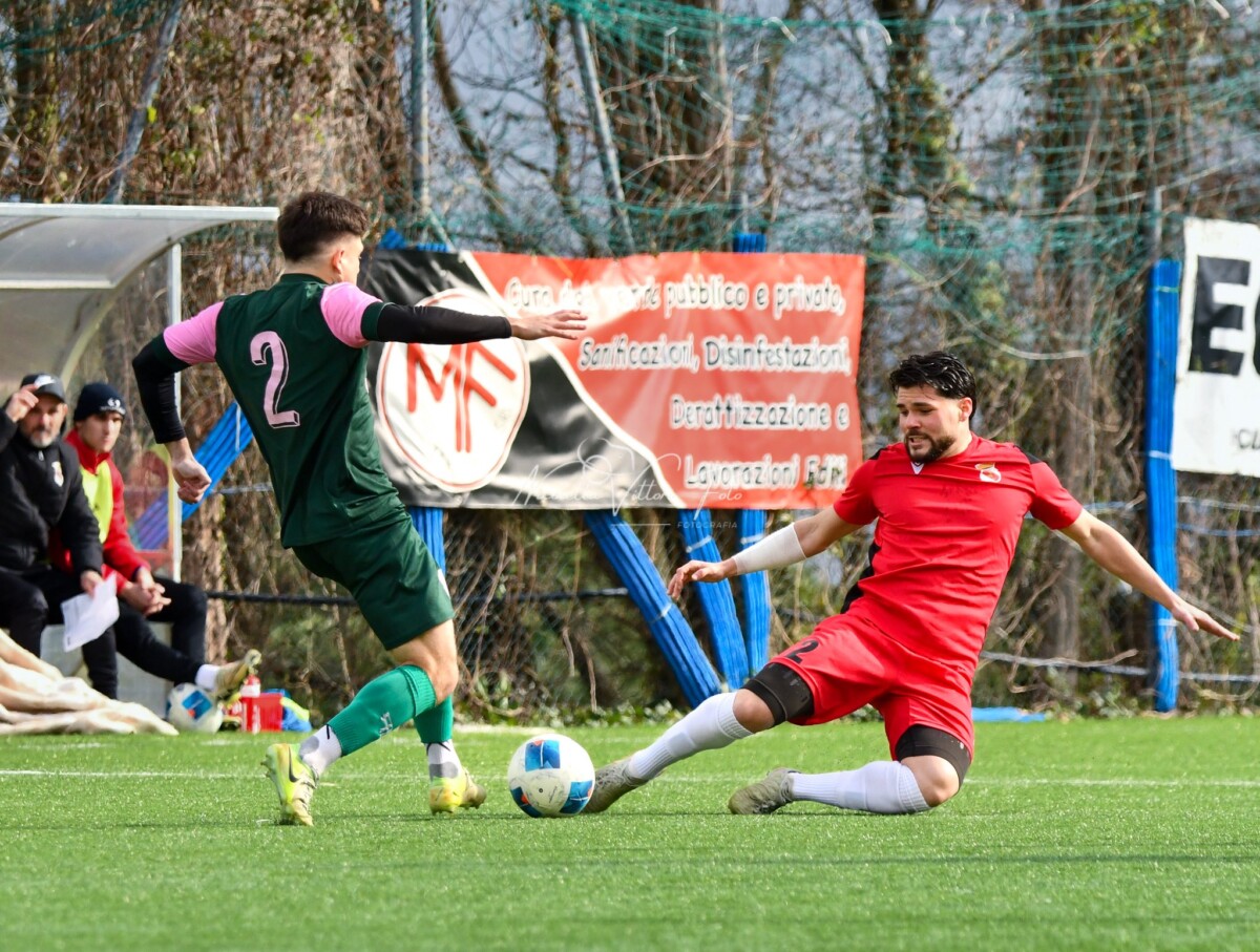 colace tolfa colace tolfa