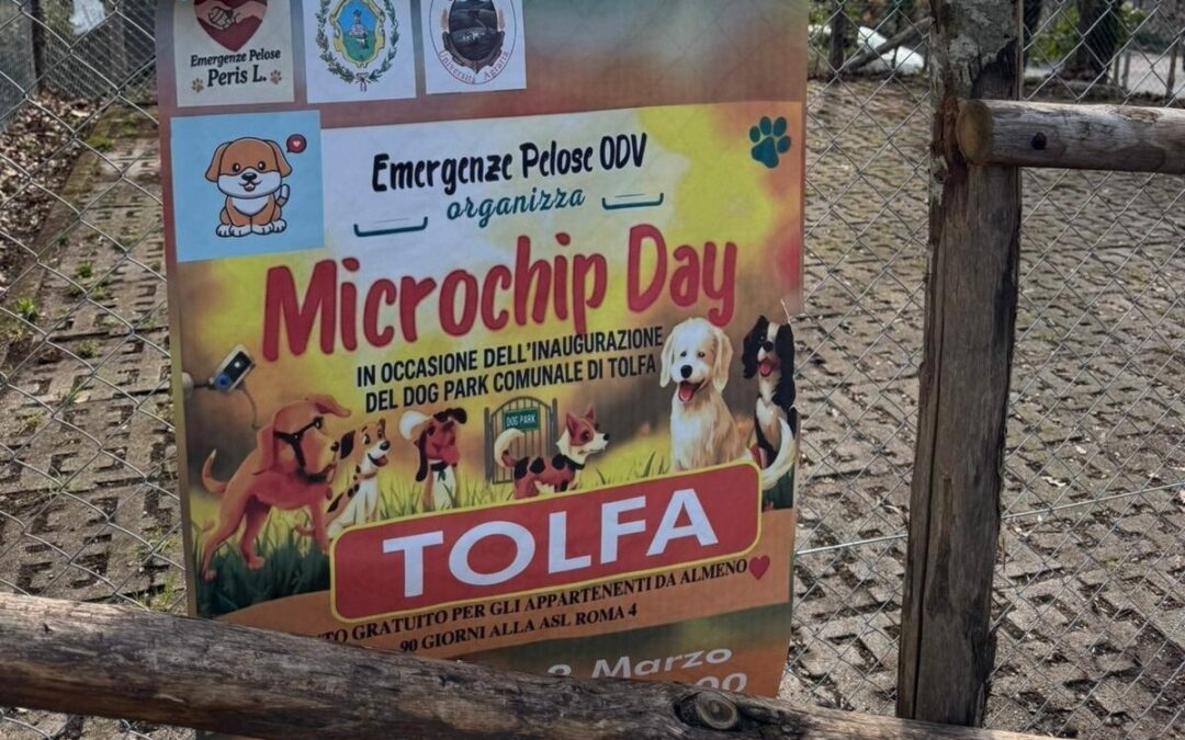 Giornata del Microchip a Tolfa: 80 cagnetti censiti