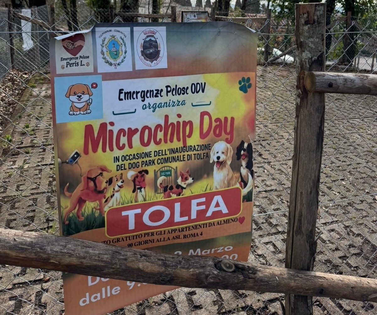 emergenze pelose microchip tolfa 1