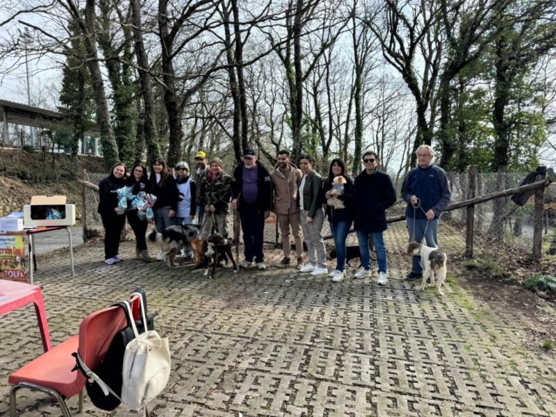 emergenze pelose microchip tolfa 1