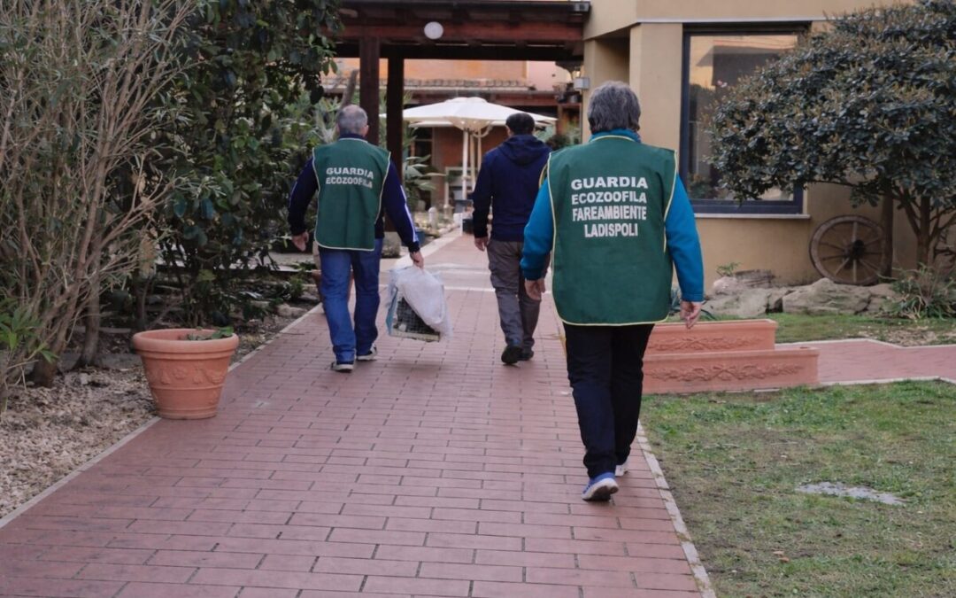 Fare Ambiente Ladispoli: “Violenza sugli animali è disumana, responsabili ricevano pena certa”