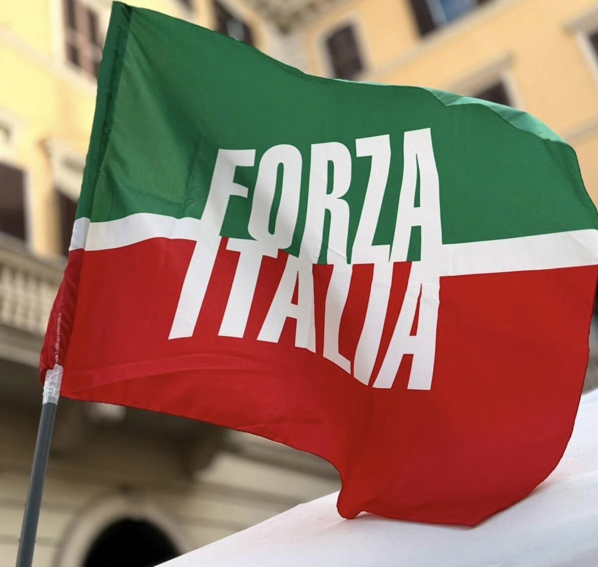 forza italia bandiera