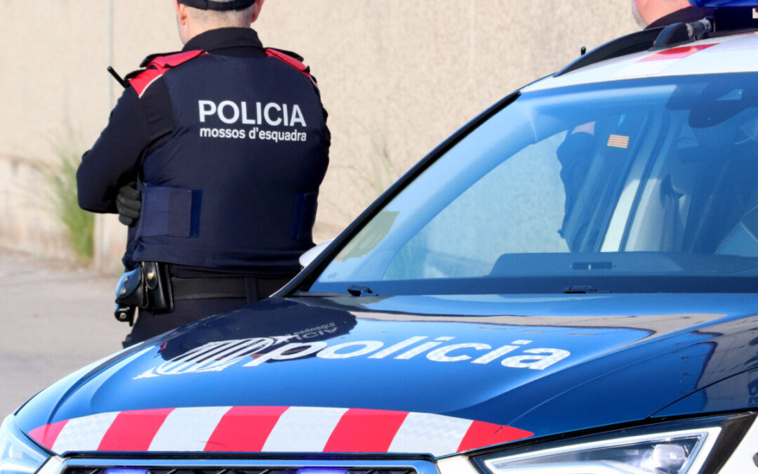 Smantellata in Spagna rete narcos legata alla camorra, 10 arresti: la droga al porto di Civitavecchia