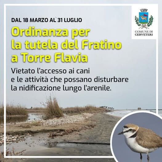 ordinanza cerveteri fratino