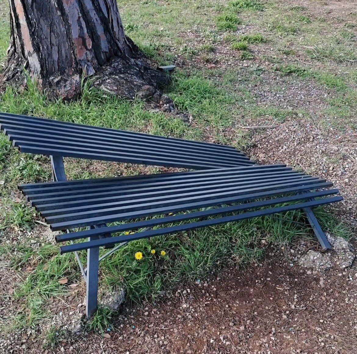 panchina divelta vannini