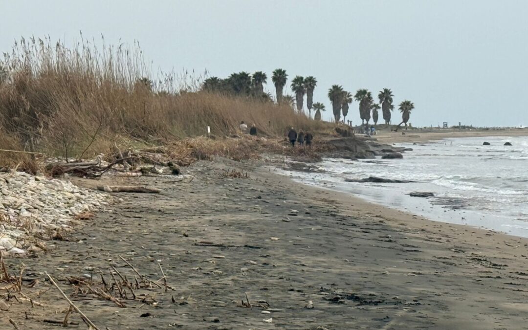 A Torre Flavia sopralluogo dei tecnici della Regione Lazio sull’emergenza erosione a Ladispoli