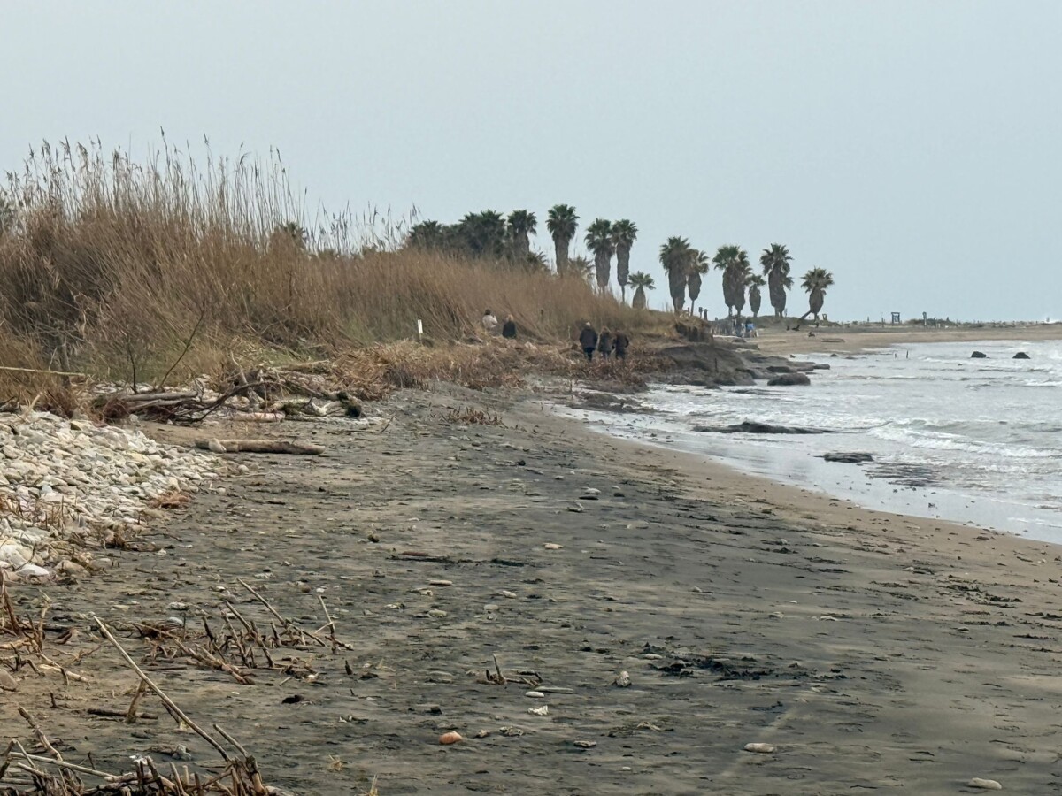 regione torre flavia ladispoli erosione 2