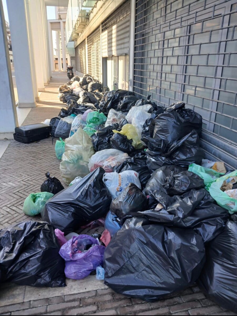 rifiuti abbandonati parco leonarod fiumicino