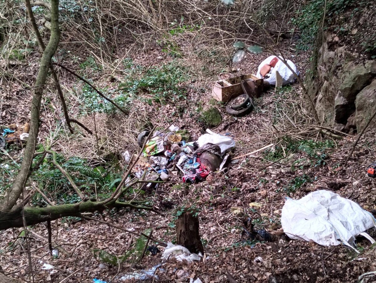 rifiuti boschi allumiere