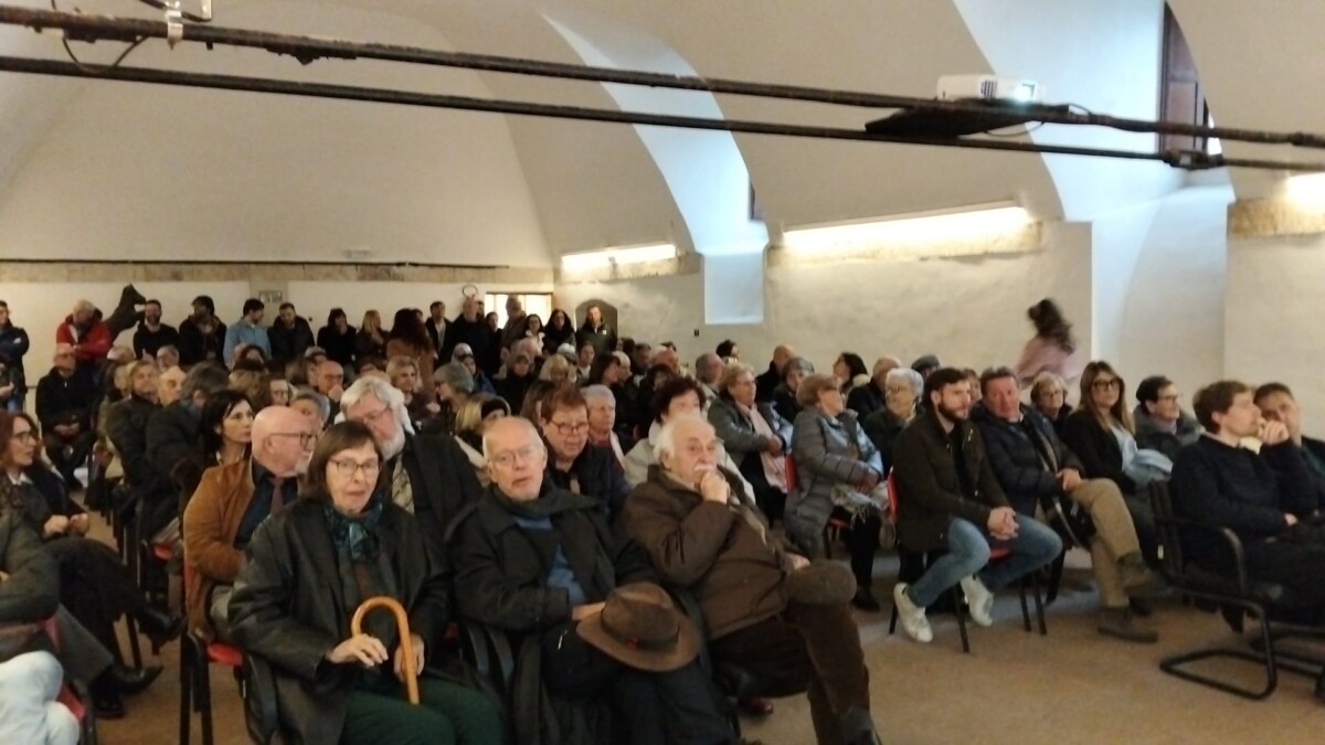 sala polo culturale tolfa