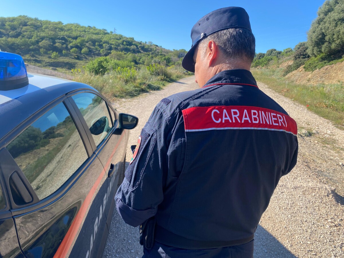 FORESTALE - Cerveteri denunciato per combustione illecita di rifiuti (2)