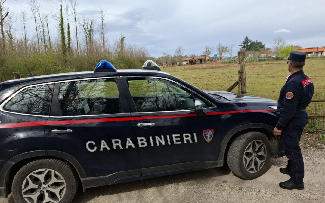Lavori forestali senza autorizzazione a Manziana, intervento dei Carabinieri