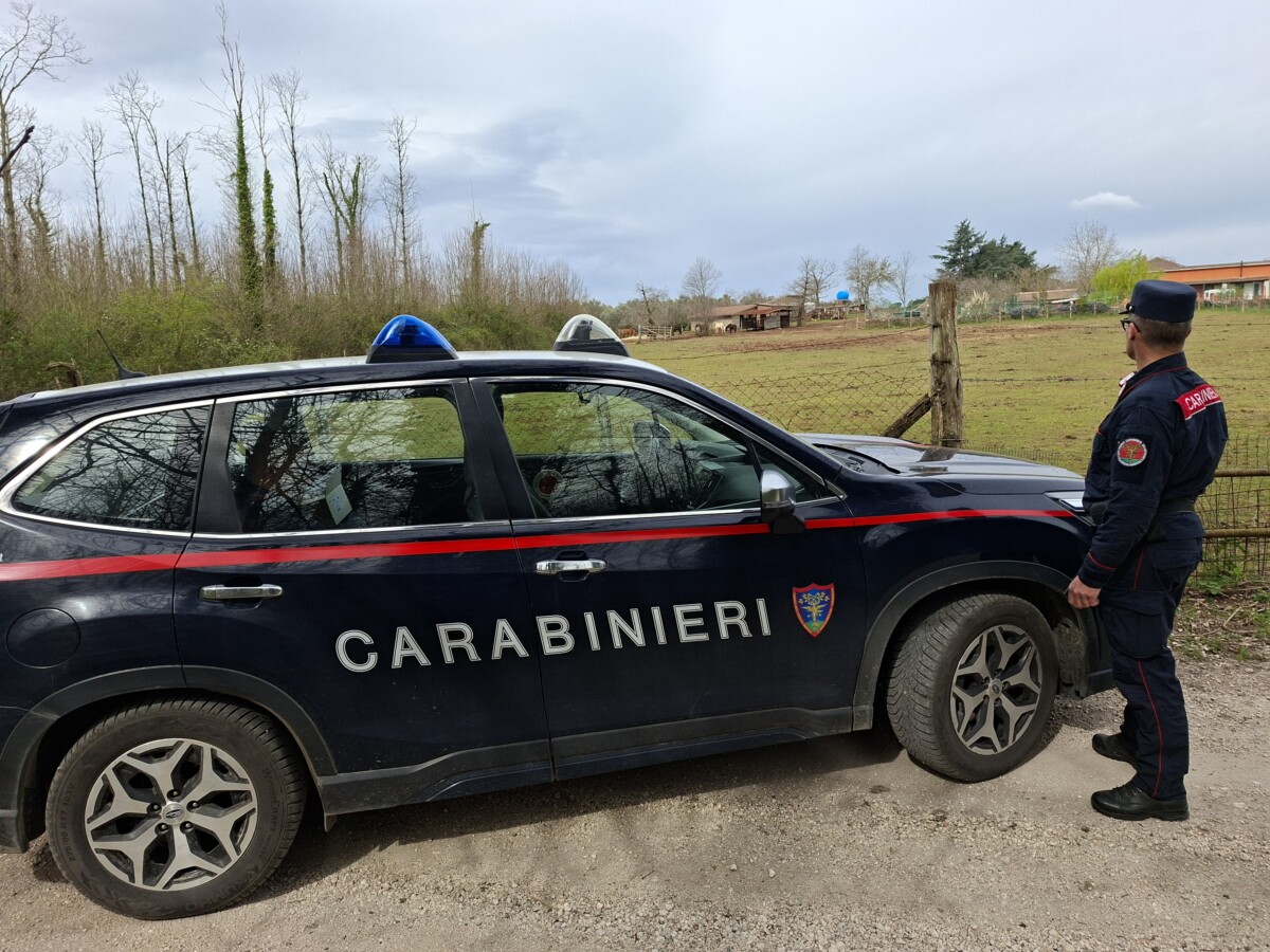 FORESTALE - Illeciti per lavori forestali non autorizzati carabinieri manziana