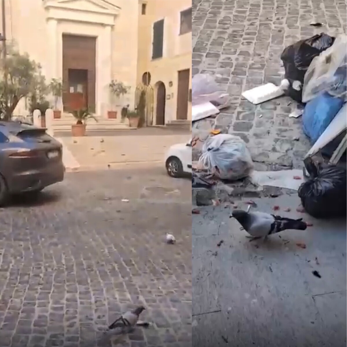 Piazza Leandra rifiuti civitavecchia