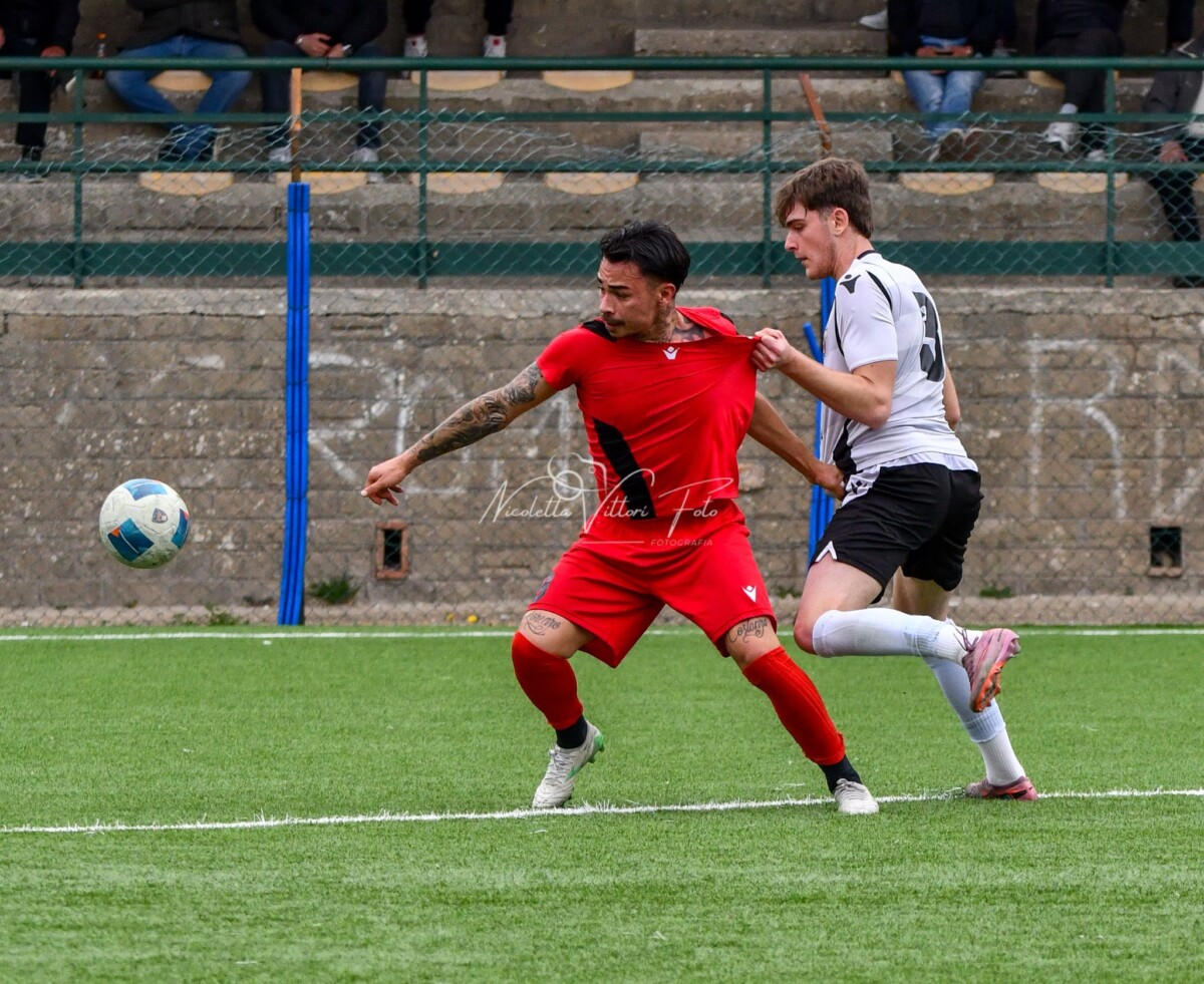 bernardini tolfa maglia