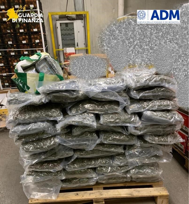 droga porto civitavecchia finanza_Marijuana e cocaina