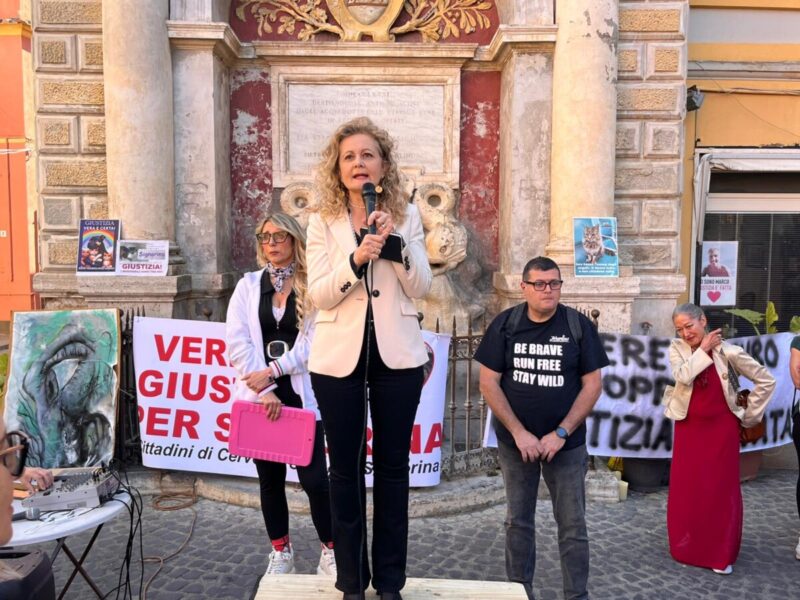 gubetti micia signorina