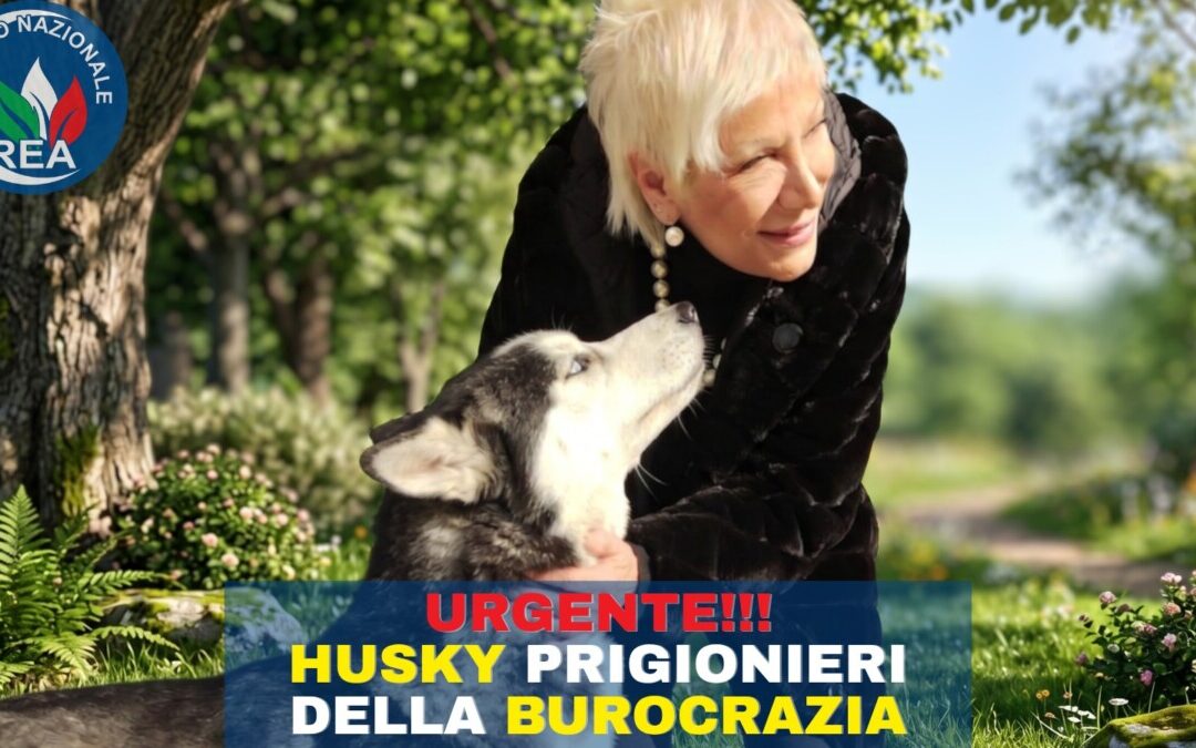 Ponzano Romano, Rea: “Husky prigionieri della burocrazia, la Procura rompa il silenzio”