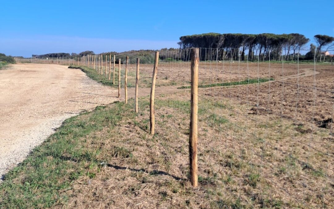 Frasca di Civitavecchia, la Bioma: “Ancora niente riforestazione”