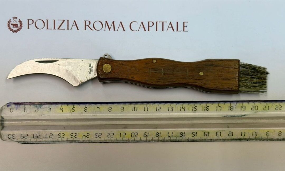 Malamovida Capitale, Municipale impegnata fra negozi irregolari e controlli stradali