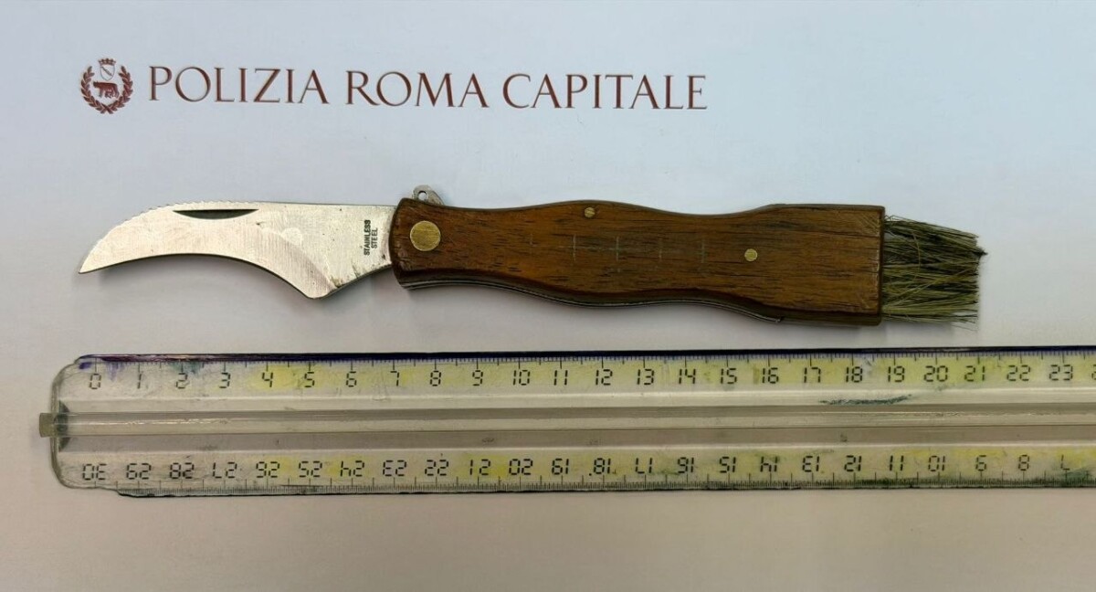 municipale roma capitale coltello