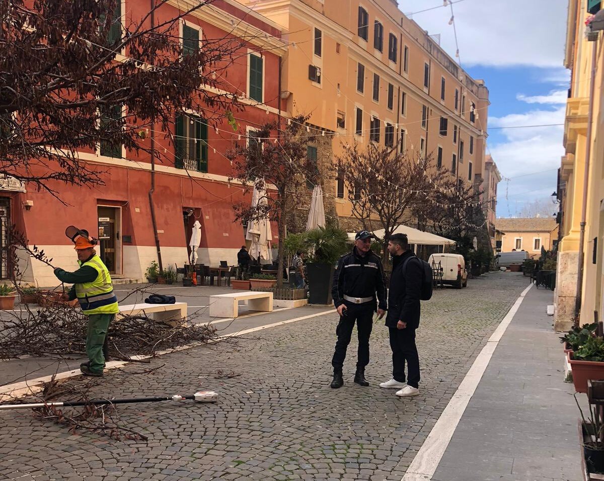 piazza saffi giannini piazza saffi giannini